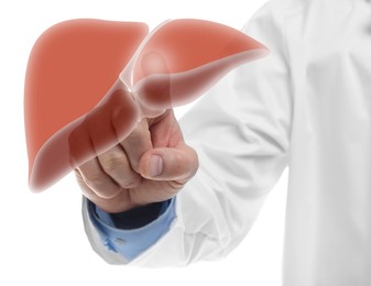 Doctor pointing at illustration of liver on white background, closeup