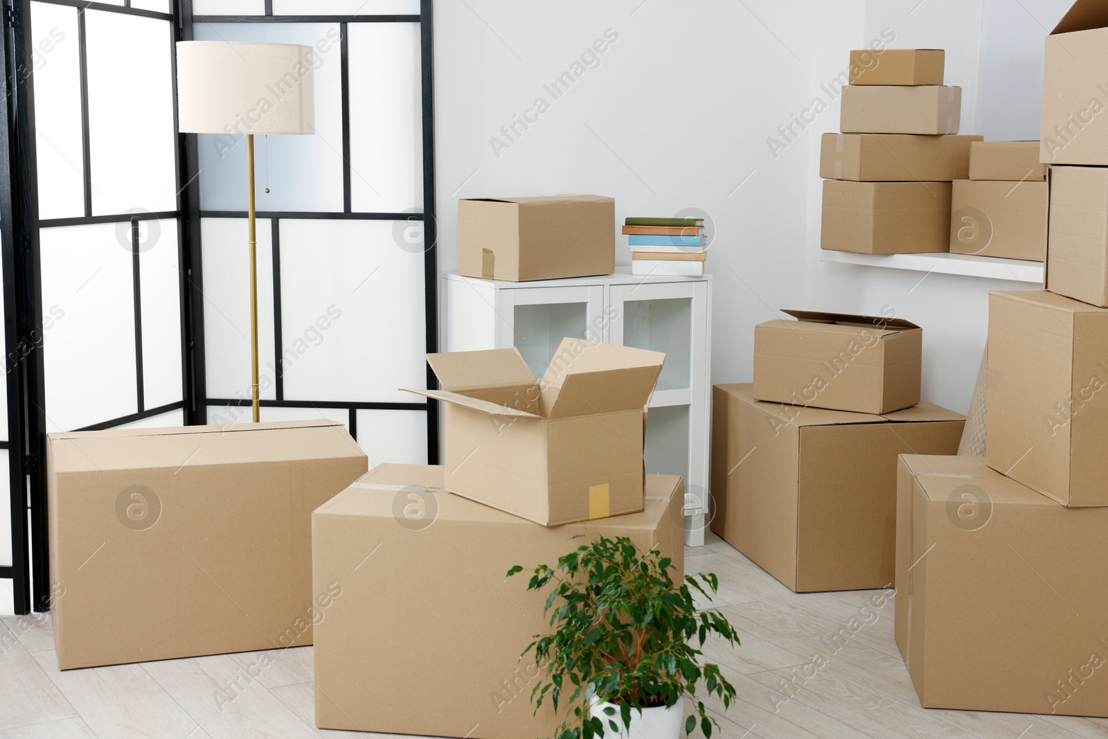 Photo of Moving day. Houseplant and many cardboard boxes indoors