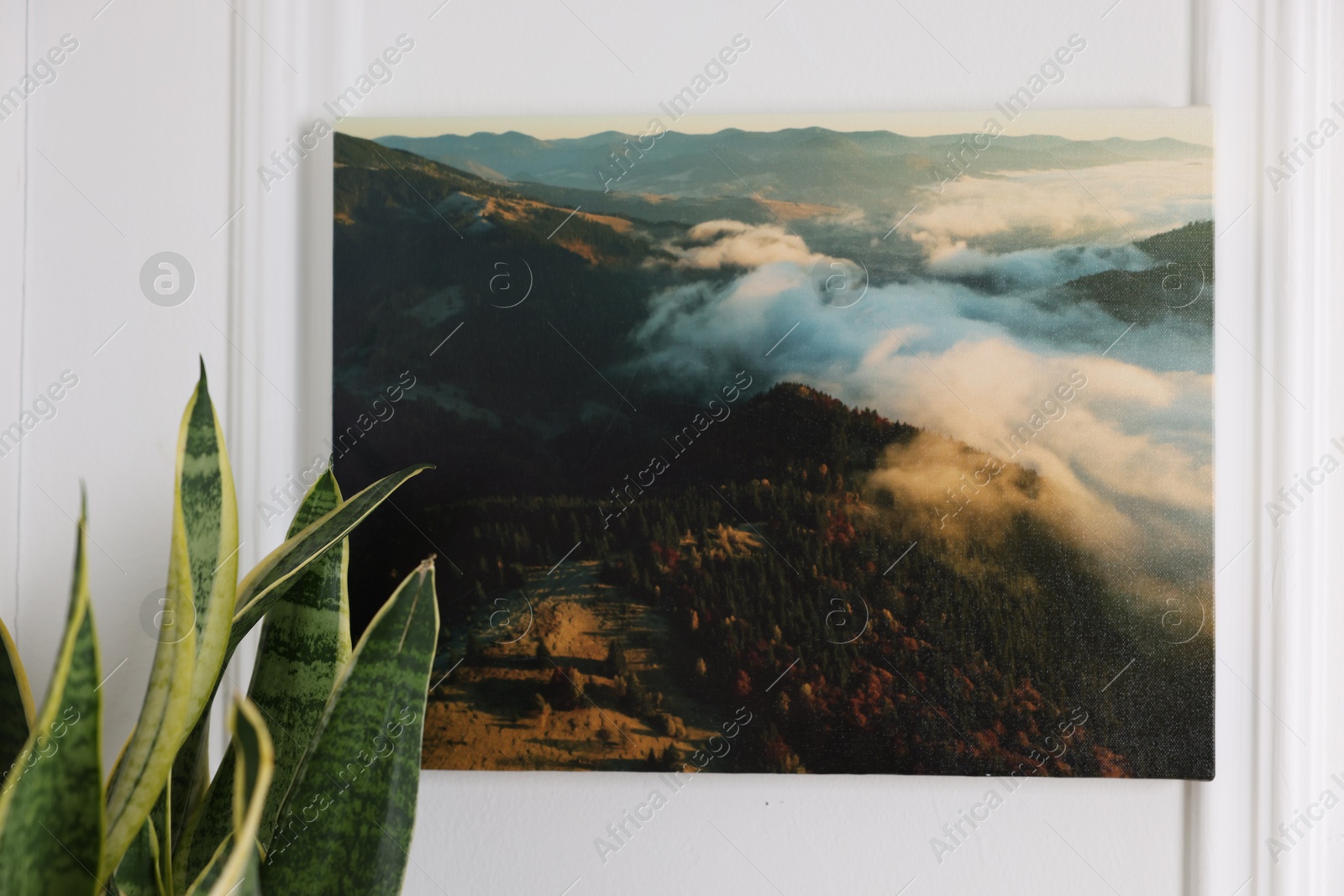 Photo of Canvas with printed photo of mountains on white wall indoors