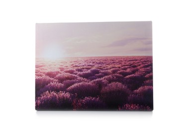 Canvas with printed photo of beautiful lavender field isolated on white