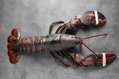 Photo of One raw lobster on grey textured table, top view