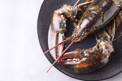 Photo of One raw lobster on grey table, top view. Space for text