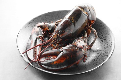 Photo of One raw lobster on grey textured table, closeup