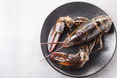 Photo of One raw lobster on grey table, top view. Space for text