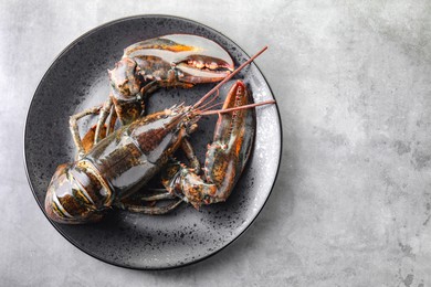 Photo of One raw lobster on grey table, top view. Space for text