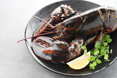 Photo of Raw lobster, piece of lemon and microgreens on grey textured table, closeup