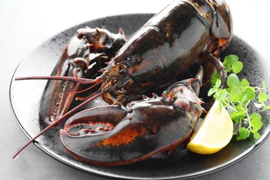 Photo of Raw lobster, piece of lemon and microgreens on grey textured table, closeup