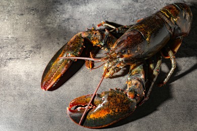 Photo of Raw lobster on grey textured table, above view