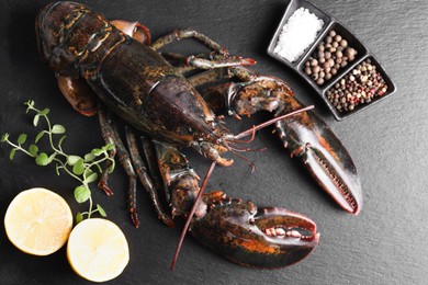 Photo of Raw lobster, cut lemon, microgreens and spices on dark textured table, flat lay