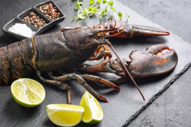 Photo of Raw lobster, cut lime, microgreens and spices on dark textured table, closeup