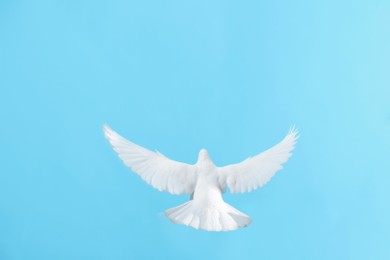 Photo of Woman with beautiful white dove on light blue background, closeup. Space for text