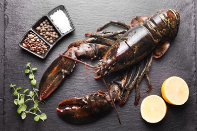 Photo of Raw lobster, cut lemon, microgreens and spices on dark textured table, flat lay