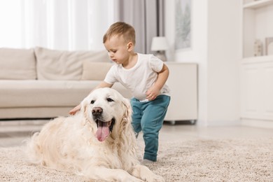 Photo of Little boy stroking cute dog at home. Space for text