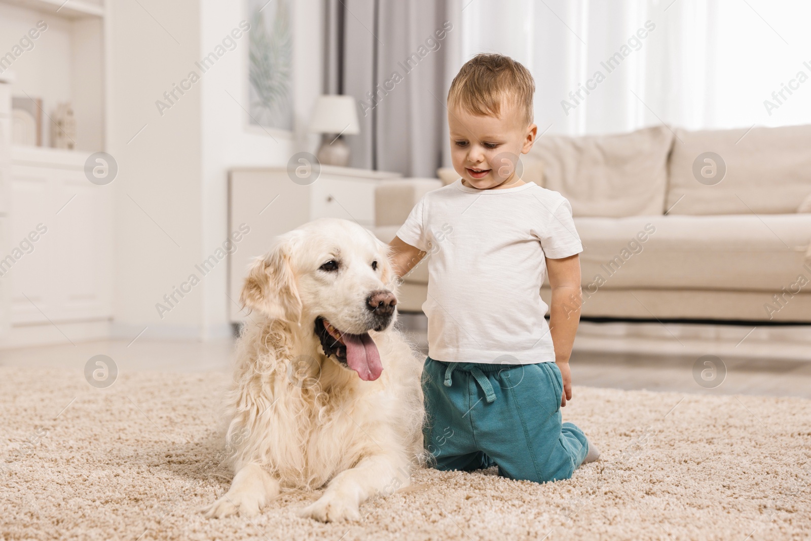 Photo of Little boy with cute dog on carpet at home