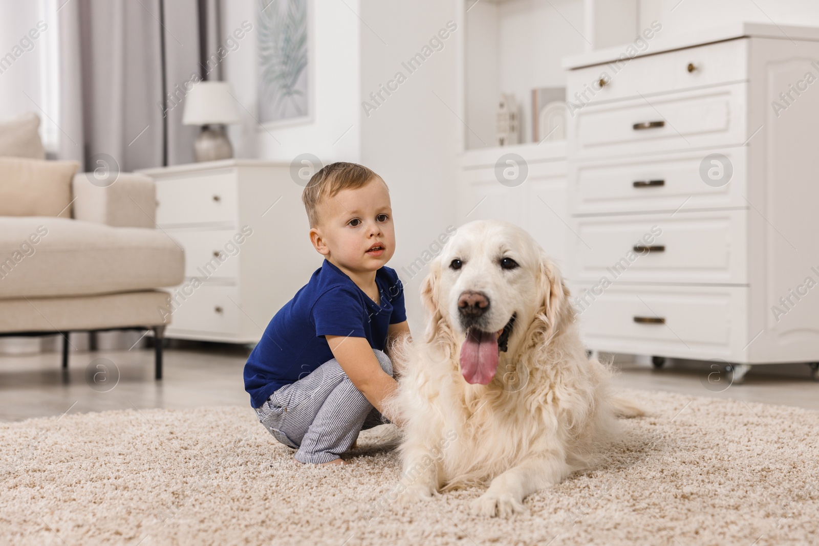 Photo of Little boy with cute dog on carpet at home