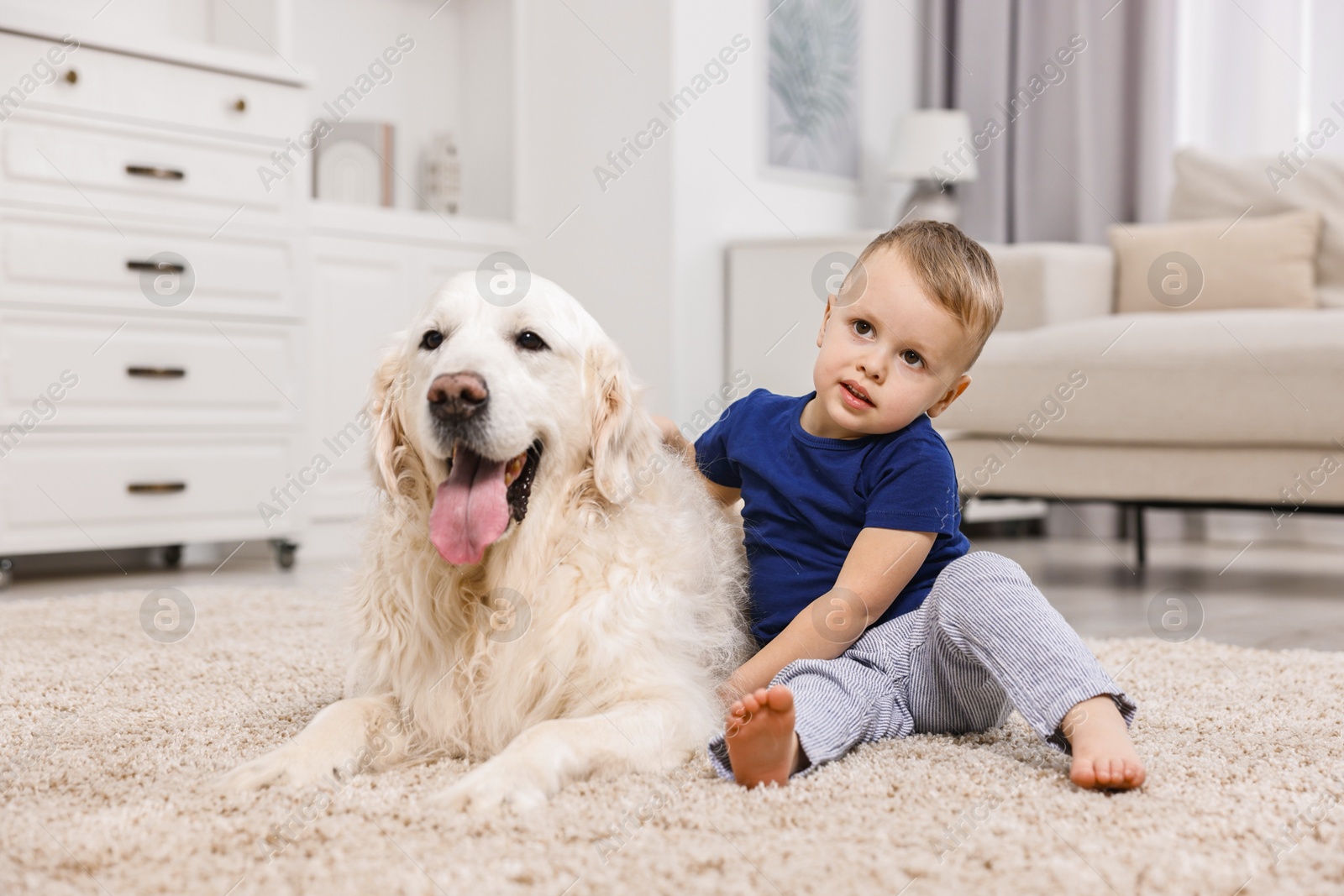 Photo of Little boy with cute dog on carpet at home