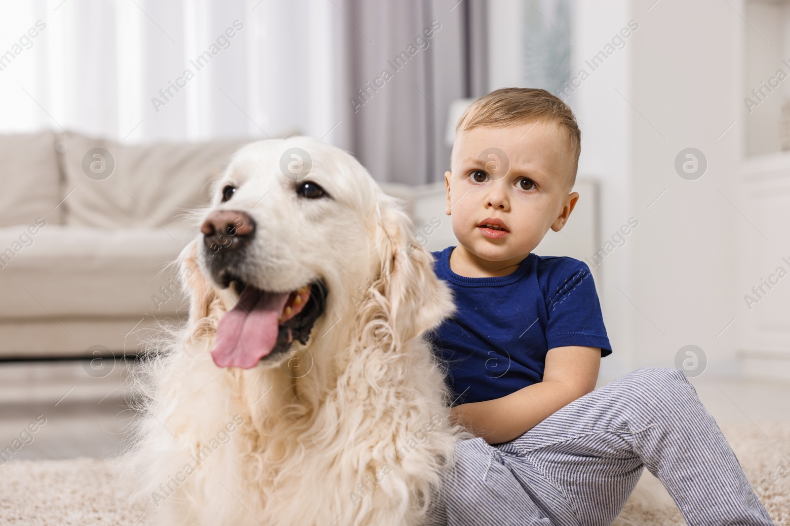 Photo of Little boy with cute dog at home