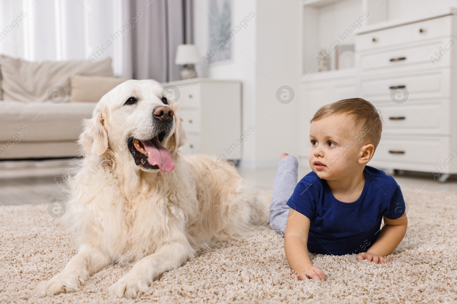 Photo of Little boy with cute dog on carpet at home