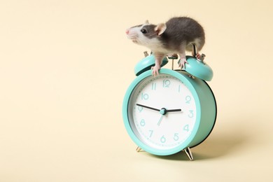 Adorable little rat and alarm clock on beige background, closeup. Space for text