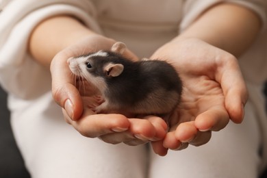 Woman with adorable little rat indoors, closeup