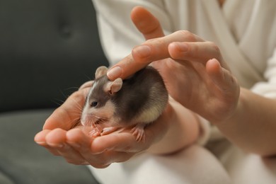 Photo of Woman with adorable little rat indoors, closeup