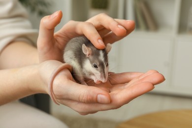 Photo of Woman with adorable little rat indoors, closeup