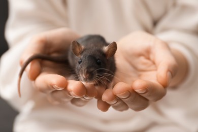 Woman with adorable little rat indoors, closeup