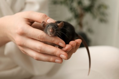 Photo of Woman with adorable little rat indoors, closeup