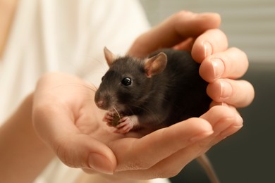 Photo of Woman with adorable little rat indoors, closeup