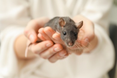 Photo of Woman with adorable little rat indoors, closeup