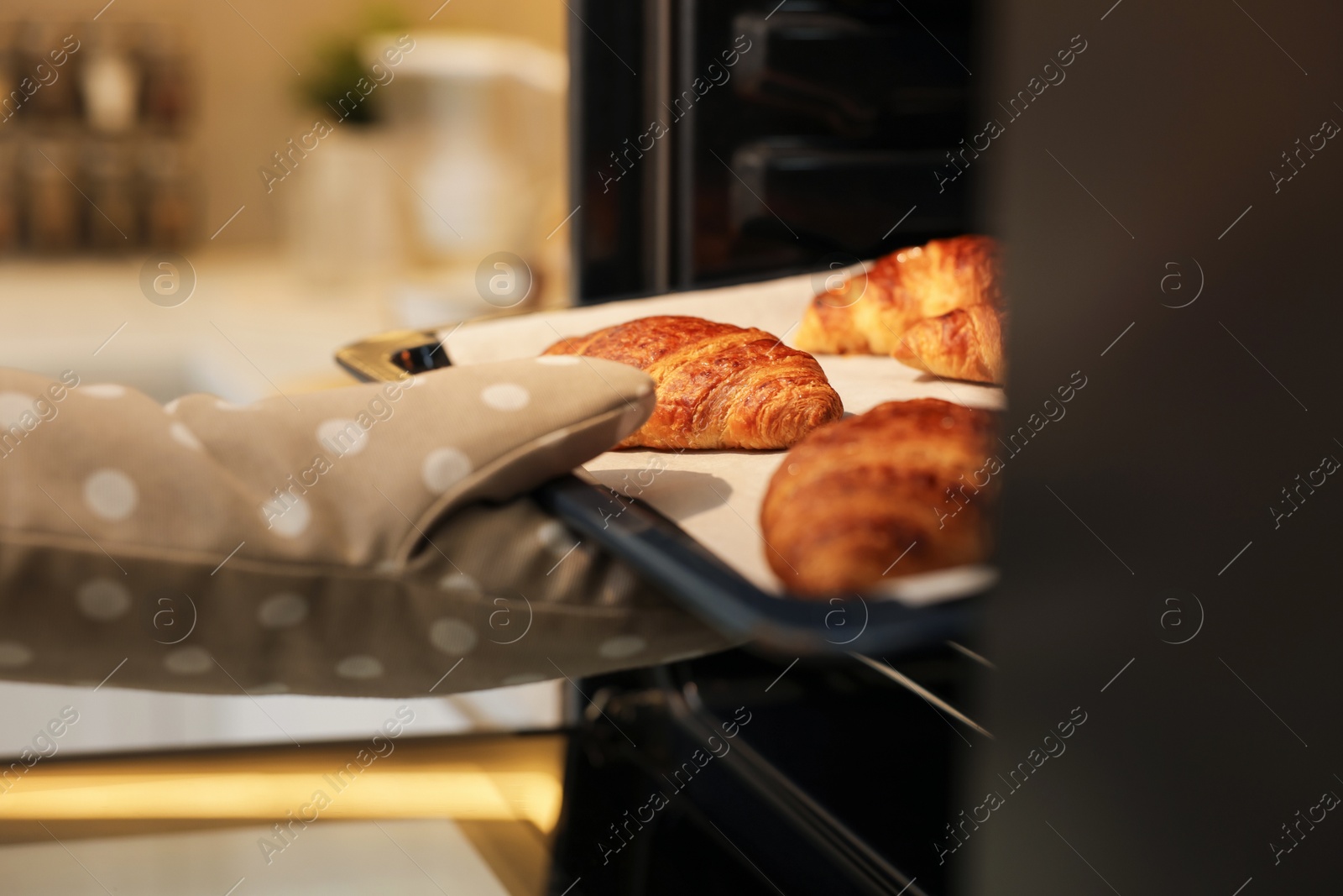 Photo of Woman taking baking sheet with tasty croissants out of oven indoors, closeup