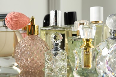 Photo of Different aromatic perfumes in bottles on mirror surface, closeup