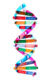 Photo of Colorful DNA structure model on white background