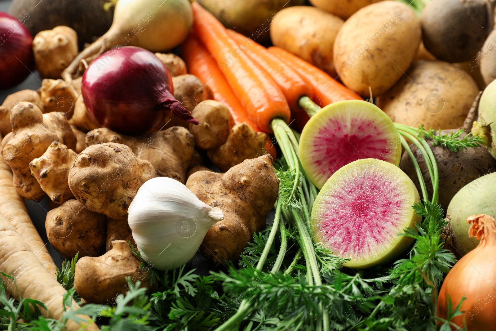 Photo of Different raw root vegetables as background, closeup