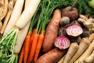 Photo of Different raw root vegetables as background, top view