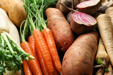 Photo of Different raw root vegetables as background, closeup