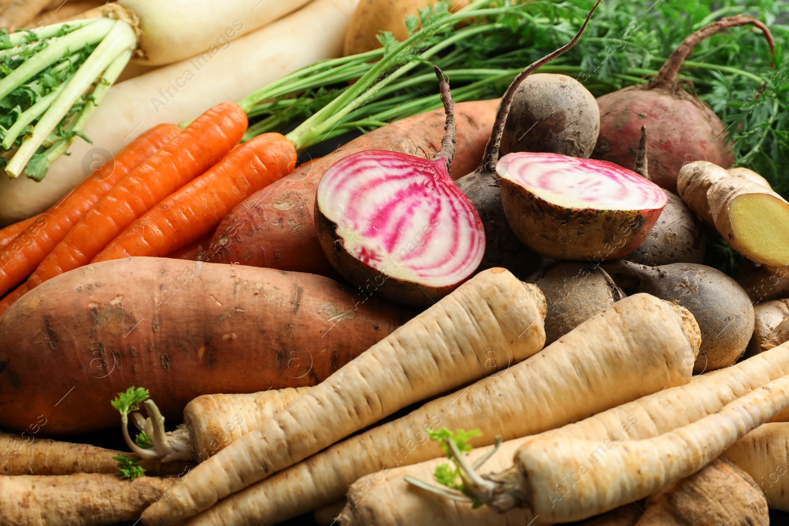 Photo of Different raw root vegetables as background, closeup