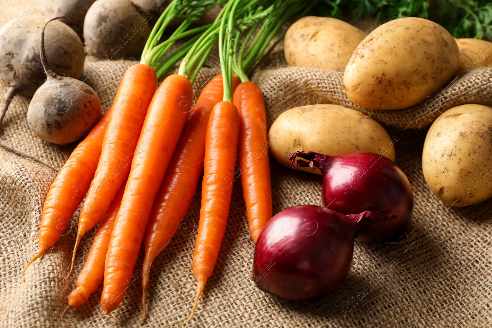 Photo of Different root vegetables on burlap fabric, closeup