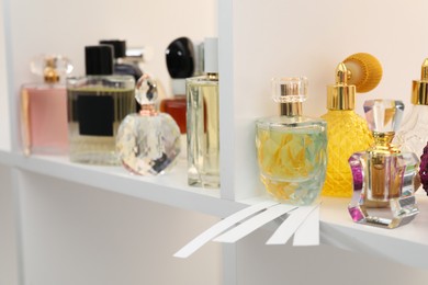 Different bottles of luxury perfume and fragrance blotters on shelf in store, closeup