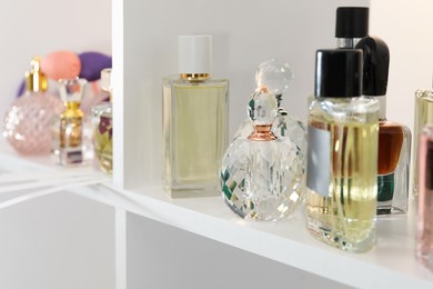 Photo of Different bottles of luxury perfume on shelf in store, closeup