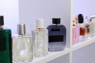 Photo of Different bottles of luxury perfume on shelf in store, closeup