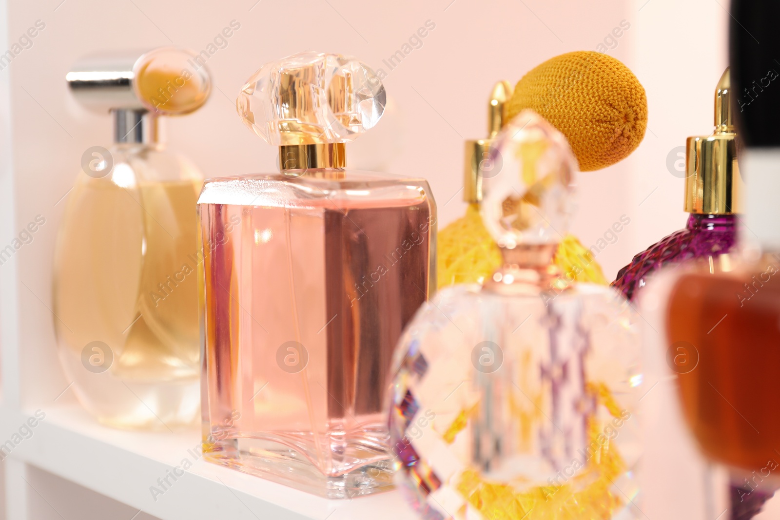 Photo of Different bottles of luxury perfume on shelf in store, closeup