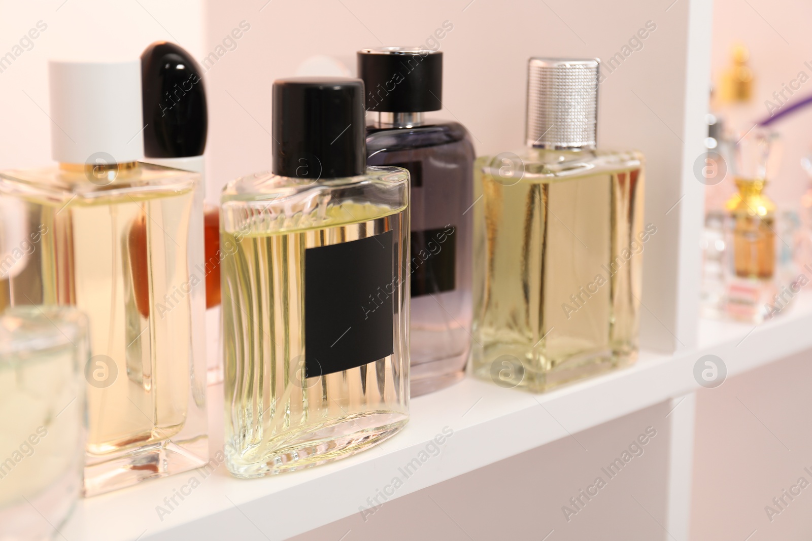 Photo of Different bottles of luxury perfume on shelf in store, closeup