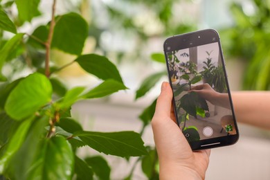 Photo of Woman using houseplant recognition application on smartphone indoors, closeup