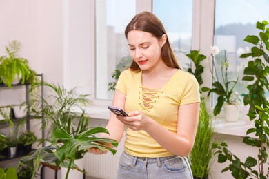 Photo of Woman using houseplant recognition application on smartphone indoors