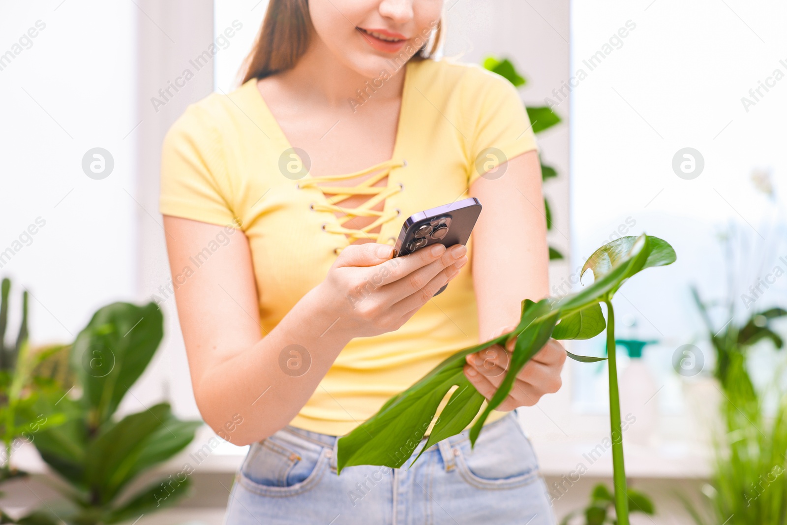 Photo of Woman using houseplant recognition application on smartphone indoors, closeup