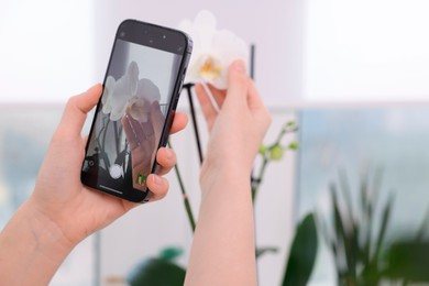 Photo of Woman using houseplant recognition application on smartphone indoors, closeup