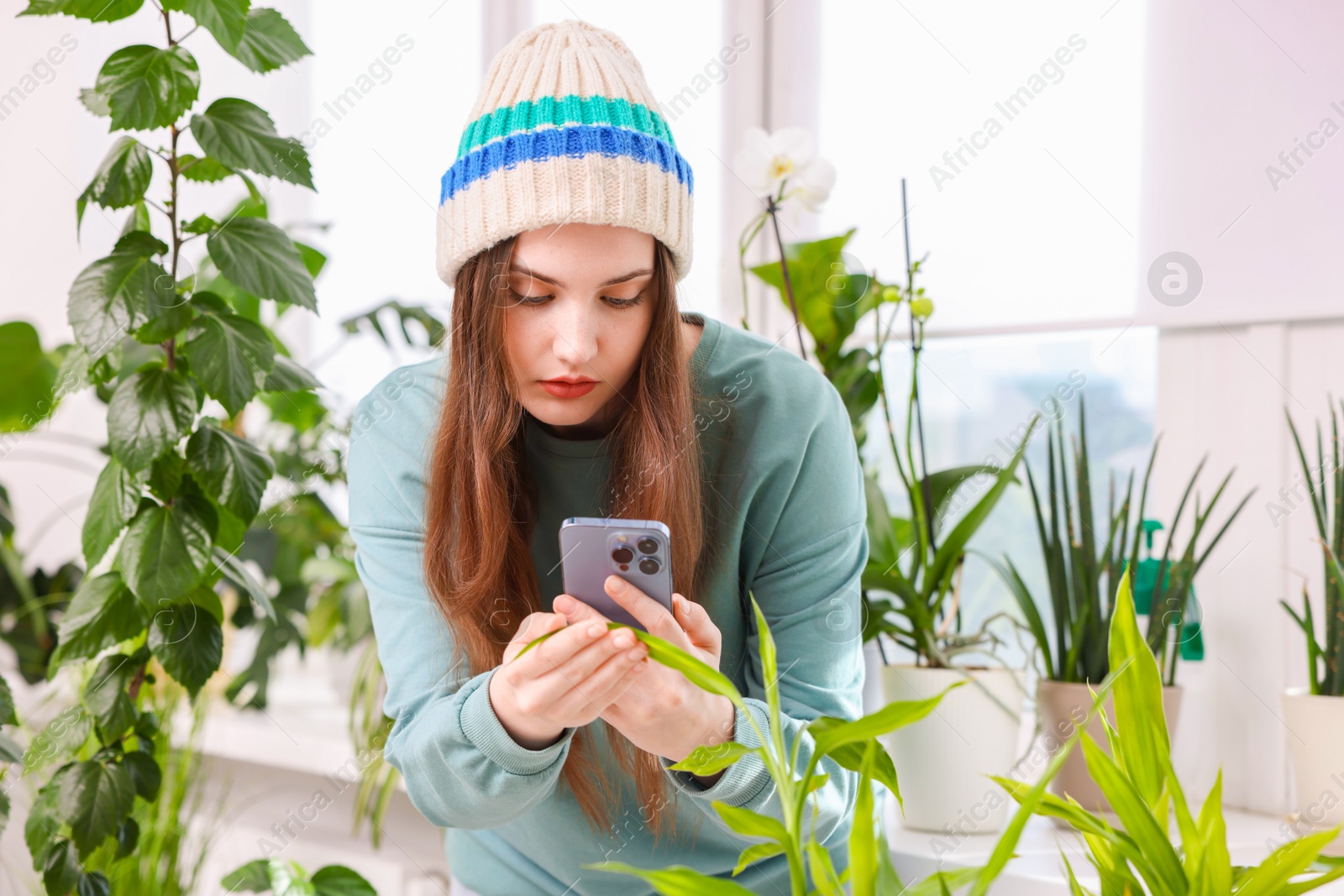 Photo of Woman using houseplant recognition application on smartphone indoors