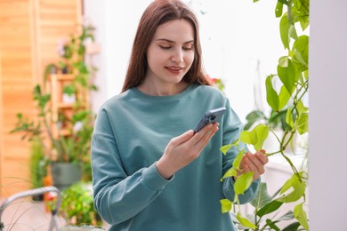 Photo of Woman using houseplant recognition application on smartphone indoors