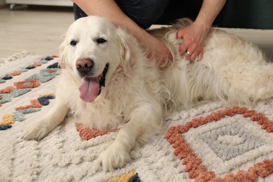 Owner and her cute Golden Retriever dog at home, closeup